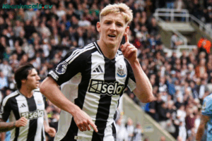 Đội hình dự kiến trước trận Sunderland vs Newcastle